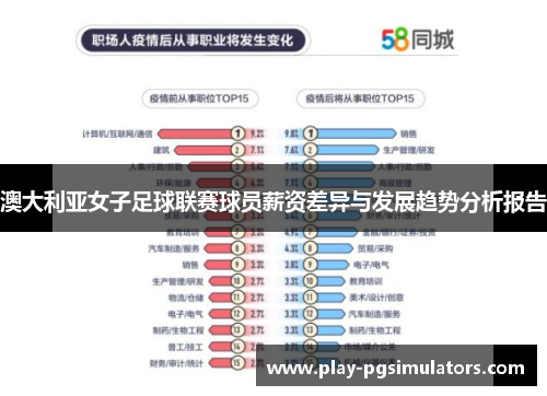 澳大利亚女子足球联赛球员薪资差异与发展趋势分析报告