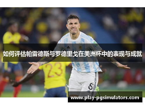 如何评估帕雷德斯与罗德里戈在美洲杯中的表现与成就