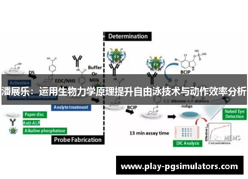 潘展乐：运用生物力学原理提升自由泳技术与动作效率分析