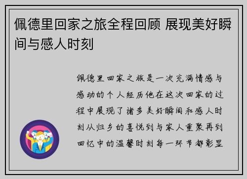 佩德里回家之旅全程回顾 展现美好瞬间与感人时刻
