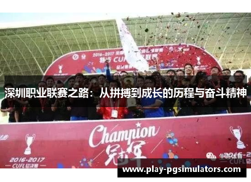 深圳职业联赛之路：从拼搏到成长的历程与奋斗精神