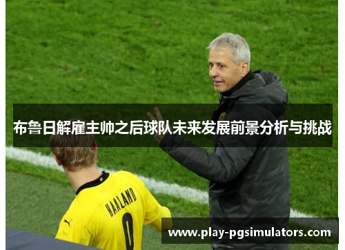 布鲁日解雇主帅之后球队未来发展前景分析与挑战