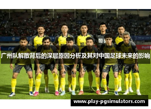 广州队解散背后的深层原因分析及其对中国足球未来的影响