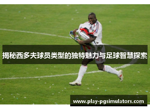 揭秘西多夫球员类型的独特魅力与足球智慧探索