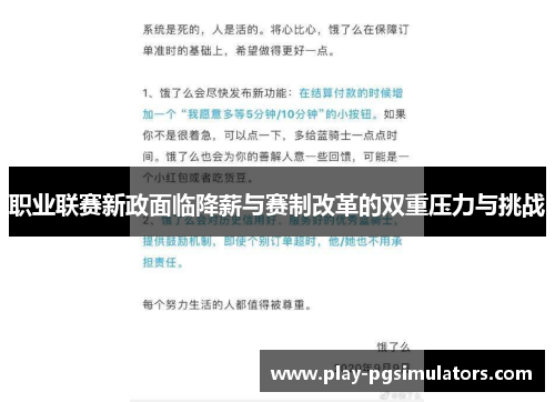 职业联赛新政面临降薪与赛制改革的双重压力与挑战