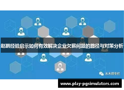 赵鹏经验启示如何有效解决企业欠薪问题的路径与对策分析 赵鹏经验启示如何有效解决企业欠薪问题的路径与对策分析