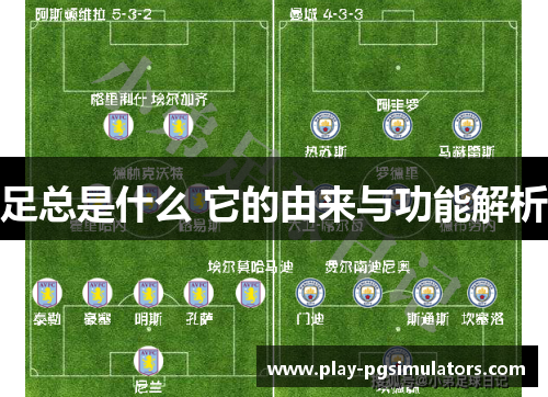 足总是什么 它的由来与功能解析