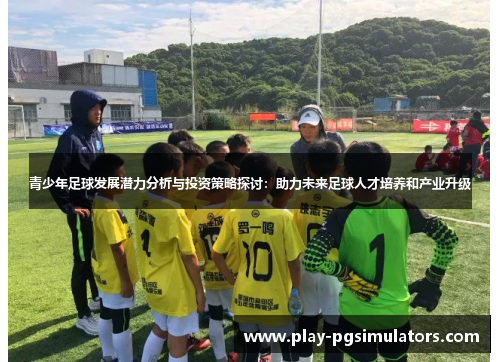 青少年足球发展潜力分析与投资策略探讨：助力未来足球人才培养和产业升级