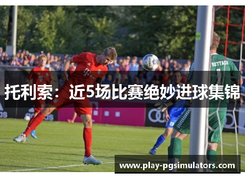 托利索：近5场比赛绝妙进球集锦