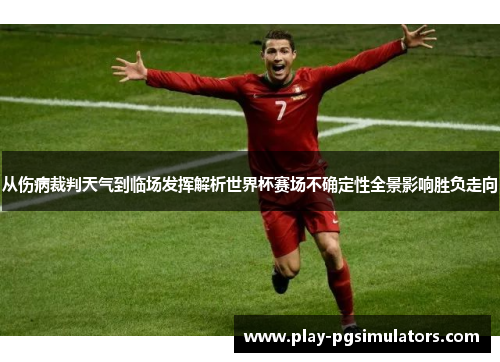 从伤病裁判天气到临场发挥解析世界杯赛场不确定性全景影响胜负走向