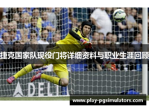 捷克国家队现役门将详细资料与职业生涯回顾