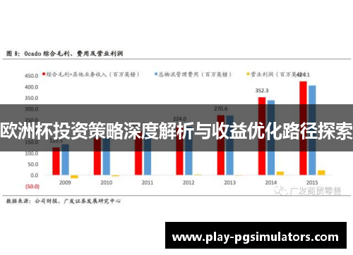 欧洲杯投资策略深度解析与收益优化路径探索