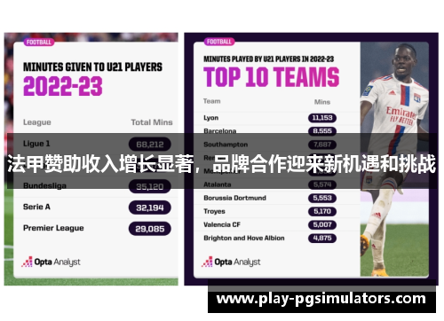 法甲赞助收入增长显著，品牌合作迎来新机遇和挑战