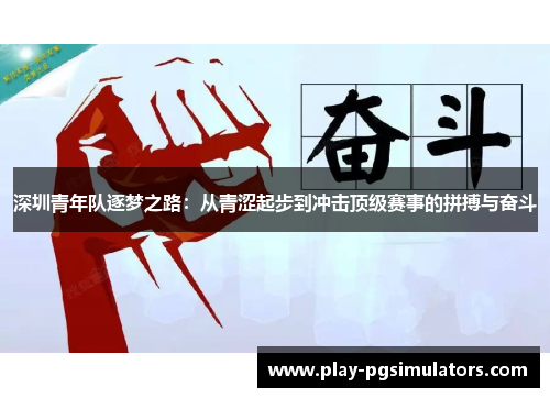 深圳青年队逐梦之路：从青涩起步到冲击顶级赛事的拼搏与奋斗